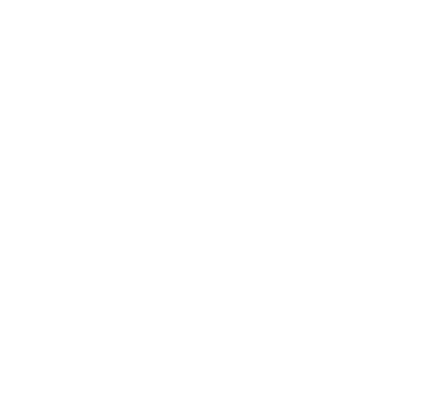 SE